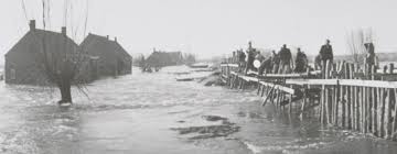 Image result for zeeland 1953