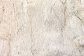 Image result for white rabbit skin texture