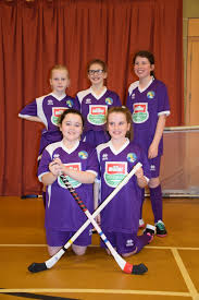 Image result for Lochcarron Camanachd