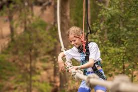 Image result for Go Ape! Alice Holt