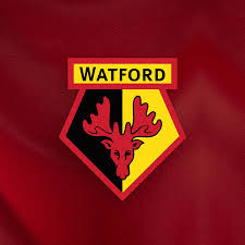 Image result for Watford Rugby Football Club