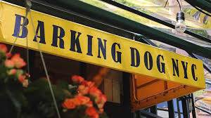 Image result for Barking & District Indoor Bowls