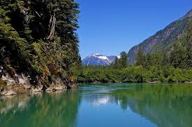 Image result for Leek Park B C