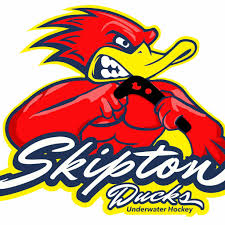 Image result for Tewkesbury and Cheltenham Underwater Hockey Club