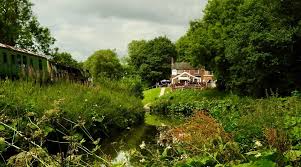 Image result for England Staffordshire Birding Club