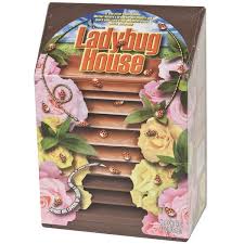 Image result for ladybug house