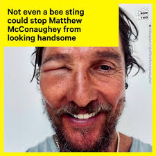 Image result for Bugaboo Bee Matthew McConaughey