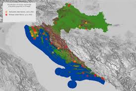Attēlu rezultāti vaicājumam “Favonius quercus underside”