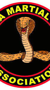 Image result for ZOKU SHOTOKAN KARATE (Baldock)