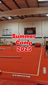 Image result for Tamworth Olympic Gymnastics Club