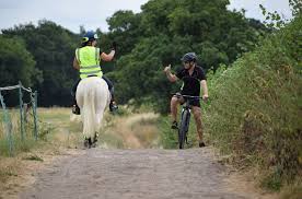 Image result for British Horse Society