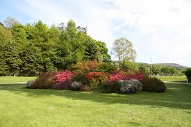 Image result for Largs Golf Club