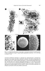 Attēlu rezultāti vaicājumam “Comatricha alta stalked”