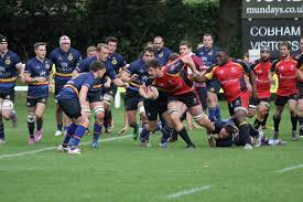 Image result for Cobham Rugby Club