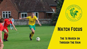 Image result for Old Dorkinian Cricket Club