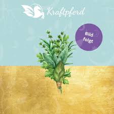 Image result for Zichorie