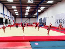 Image result for Redcar Gymnastics Club