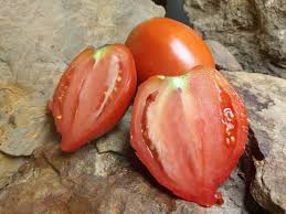 Afbeeldingsresultaat voor amish paste tomato