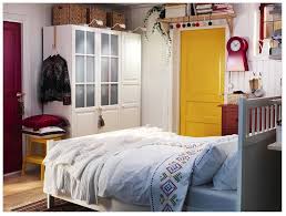 Image result for pax birkeland