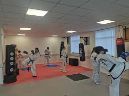 Image result for Wirral UKTA Taekwon-do