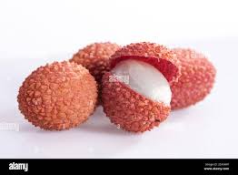 Image result for Litchi chinensis