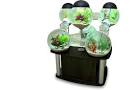 9 Cool Home Aquariums Spot Cool Stuff  Design