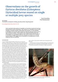 Attēlu rezultāti vaicājumam “Dytiscus dimidiatus”