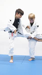 Image result for Solihull Judo Club