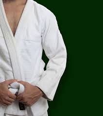 Image result for Ipswich Judo Club