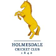 Image result for Holmesdale Cricket Club