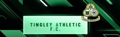 Image result for Tingley Athletic