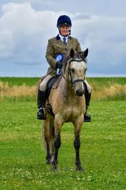 Image result for North Lammermuir Riding Club