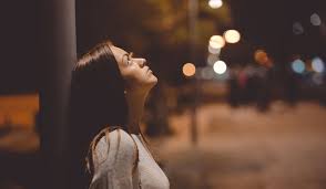 Image result for bokeh