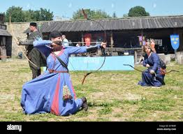 Image result for Castle Field Archers