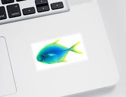 Image result for Caranx bartholomaei