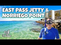 Image result for East Snorkellers