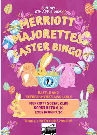 Image result for Merriott Majorettes