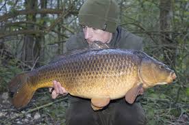 Image result for Orpington District Angling Association
