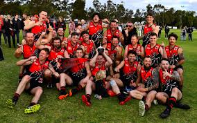 Image result for Swan Centre Netball Club