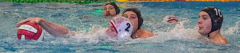 Image result for Cheltenham Swimming & Water Polo Club