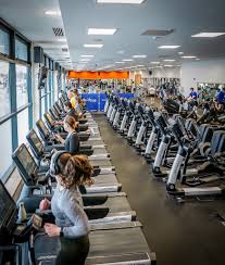 Image result for Kingfisher Gym Club