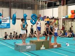 Image result for Forest Of Dean Gymnastics Club