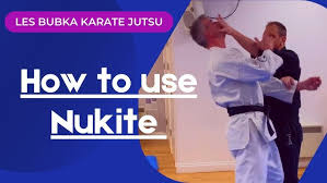 Image result for British Karate Shunen Jutsu