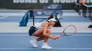 Image result for V-Tennis