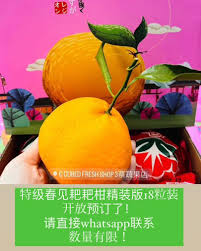 Image result for 春粒