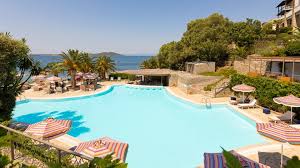 Image result for Palace Eagles Octopush Club