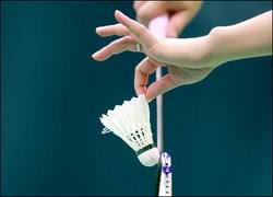 Image result for Langley Rockets Badminton Club
