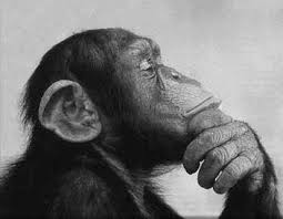 Pensando_analytics