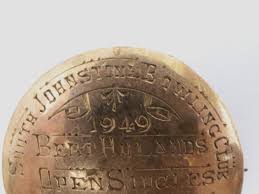 Image result for Johnstone Bowling Club