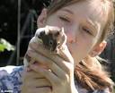 Owning a pet could damage your love life but hamsters and guinea